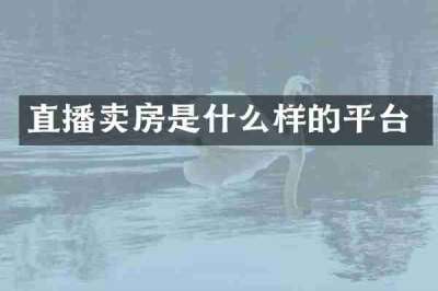 直播卖房是什么样的平台
