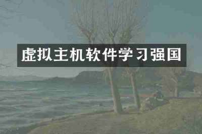 虚拟主机软件学习强国