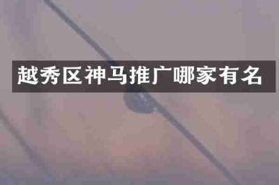 越秀区神马推广哪家有名