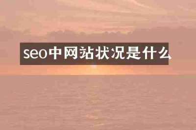 seo中网站状况是什么