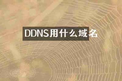 DDNS用什么域名
