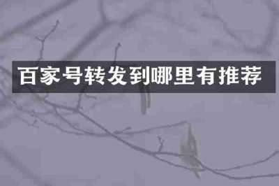 百家号转发到哪里有推荐