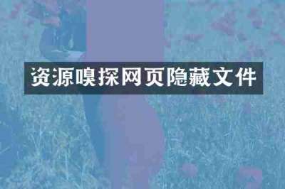 资源嗅探网页隐藏文件