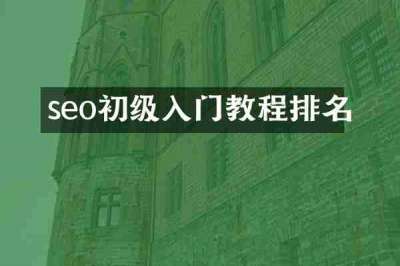 seo初级入门教程排名