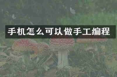 手机怎么可以做手工编程