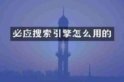 必应搜索引擎怎么用的