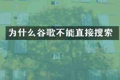 为什么谷歌不能直接搜索