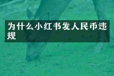 为什么小红书发人民币违规
