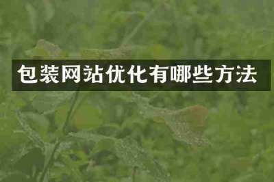 包装网站优化有哪些方法