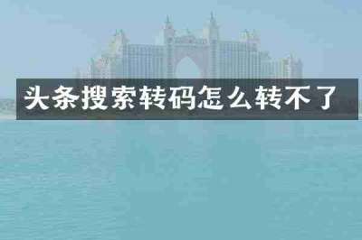 头条搜索转码怎么转不了