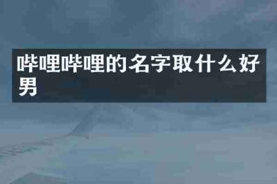 哔哩哔哩的名字取什么好男