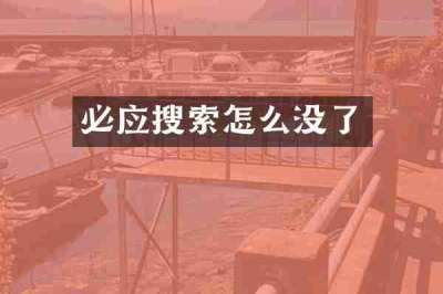 必应搜索怎么没了