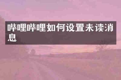哔哩哔哩如何设置未读消息