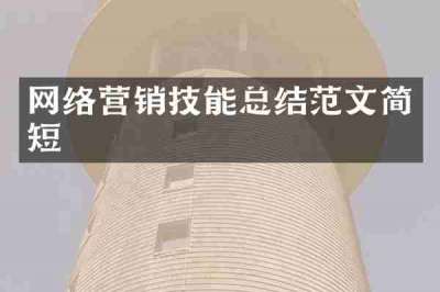 网络营销技能总结范文简短