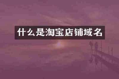 什么是淘宝店铺域名