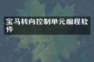 宝马转向控制单元编程软件