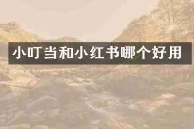 小叮当和小红书哪个好用