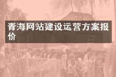 青海网站建设运营方案报价