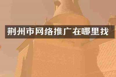 荆州市网络推广在哪里找