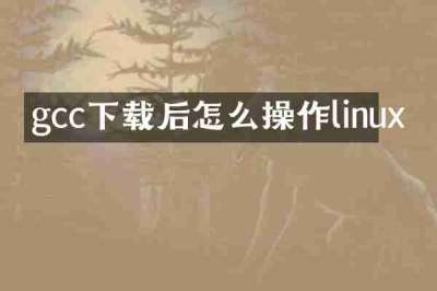 gcc下载后怎么操作linux
