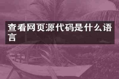 查看网页源代码是什么语言