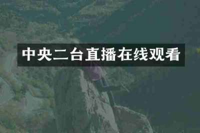 中央二台直播在线观看
