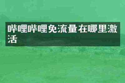 哔哩哔哩免流量在哪里激活