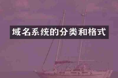 域名系统的分类和格式
