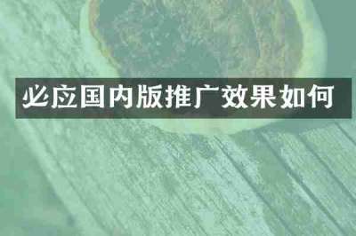 必应国内版推广效果如何
