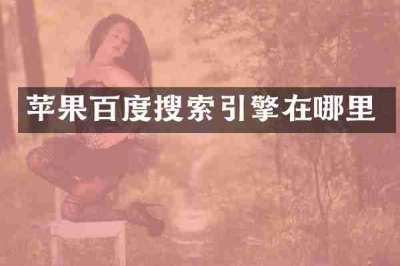苹果百度搜索引擎在哪里