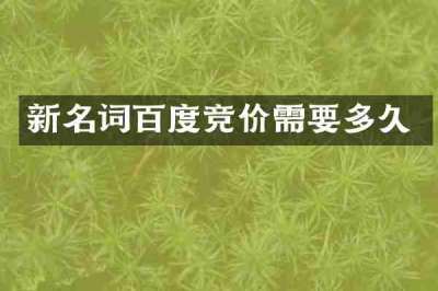 新名词百度竞价需要多久