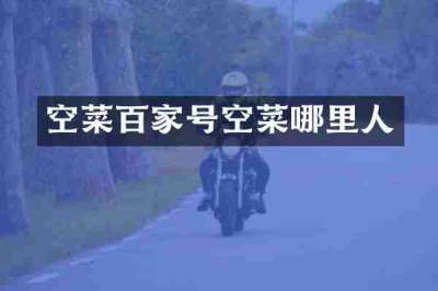空菜百家号空菜哪里人