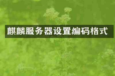 麒麟服务器设置编码格式