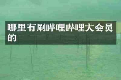 哪里有刷哔哩哔哩大会员的