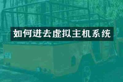 如何进去虚拟主机系统