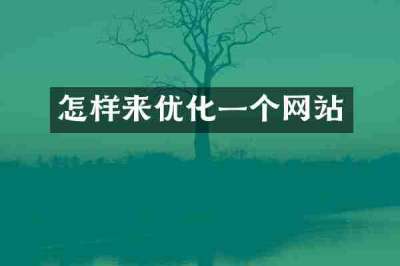 怎样来优化一个网站