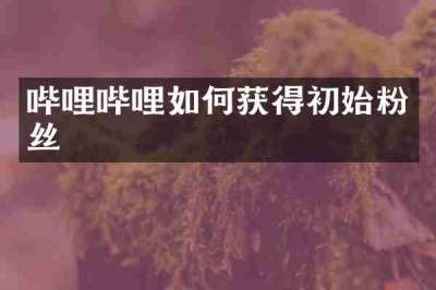 哔哩哔哩如何获得初始粉丝