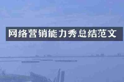 网络营销能力秀总结范文