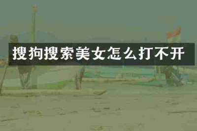 搜狗搜索美女怎么打不开