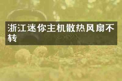 浙江迷你主机散热风扇不转