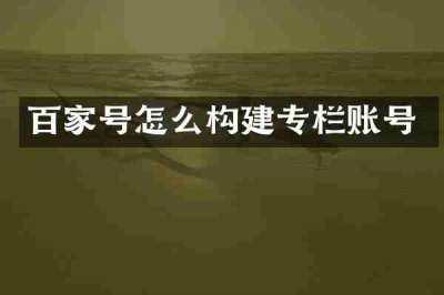 百家号怎么构建专栏账号