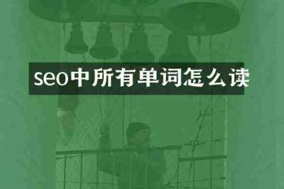 seo中所有单词怎么读