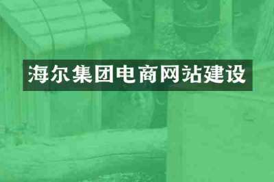 海尔集团电商网站建设