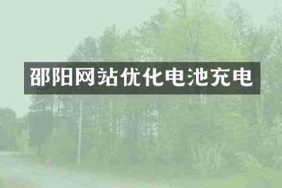 邵阳网站优化电池充电