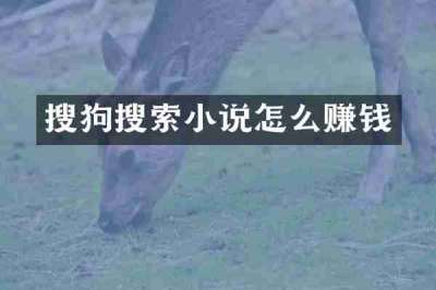 搜狗搜索小说怎么赚钱