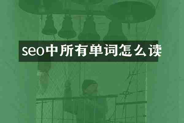 seo中所有单词怎么读
