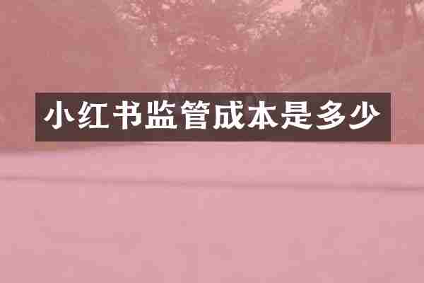 小红书监管成本是多少