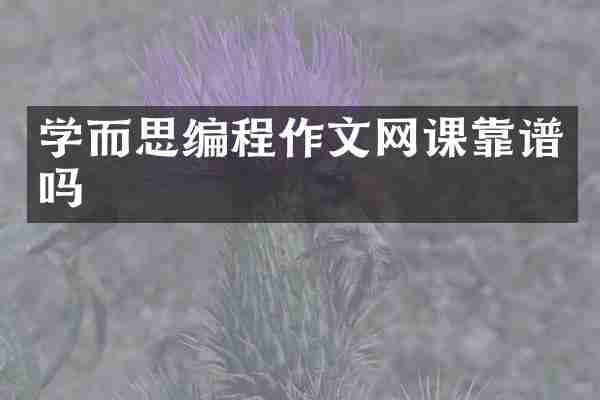 学而思编程作文网课靠谱吗