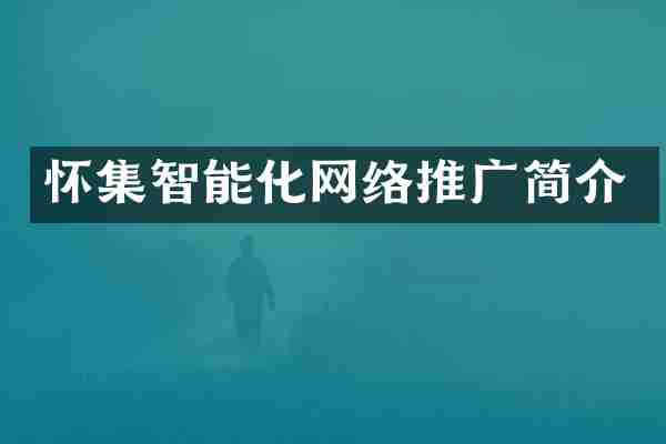 怀集智能化网络推广简介