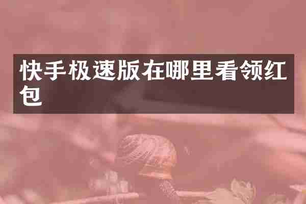 快手极速版在哪里看领红包